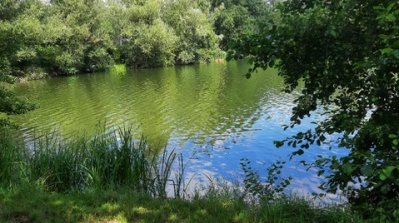 Am Haares-See bei Seligenstadt